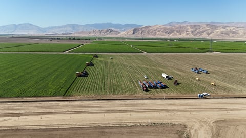 dji_fly_20240612_091546_0111_1718209186063_photo